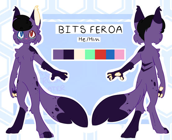 Bits Feroa Reference